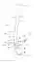 Fig. 02 - Vascular anchoring introducer sheath