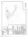 Fig. 07 - CUSTOM DENTAL COMPONENT AND SCAN BODY
