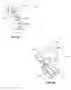 Fig. 49 - IMPRESSIONLESS DENTAL MODELING SYSTEMS AND METHODS