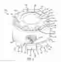 Fig. 02 - Spinal implant system