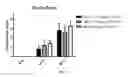 Fig. 09 - MATERIALS AND METHODS FOR TREATING OPHTHALMIC INFLAMMATION