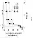 Fig. 49 - COMPOSITIONS AND METHODS FOR BILE ACID PARTICLES