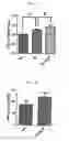 Fig. 07 - COMPOSITION FOR IMPROVING DECREASED ABSORPTION IN DIGESTIVE TRACT, AND COMPOSITION FOR PROMOTING ABSORPTION IN DIGESTIVE TRACT
