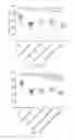 Fig. 28 - NANOPARTICLE FORMULATIONS AND METHODS OF MAKING AND USING THEREOF