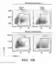 Fig. 12 - Treatment of infectious diseases