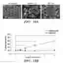 Fig. 32 - Treatment of infectious diseases