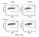 Fig. 34 - Treatment of infectious diseases