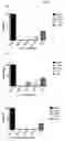 Fig. 02 - DENTAL TREATMENT