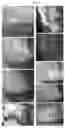 Fig. 03 - DENTAL TREATMENT