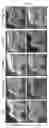 Fig. 05 - DENTAL TREATMENT