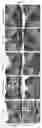 Fig. 07 - DENTAL TREATMENT