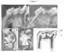 Fig. 08 - DENTAL TREATMENT