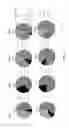 Fig. 02 - Methods for manufacturing T cells