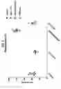 Fig. 06 - Compositions comprising bacterial strains