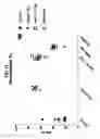 Fig. 15 - Compositions comprising bacterial strains