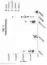 Fig. 18 - Compositions comprising bacterial strains