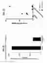Fig. 23 - Compositions comprising bacterial strains