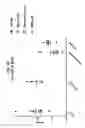 Fig. 29 - Compositions comprising bacterial strains