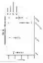 Fig. 34 - Compositions comprising bacterial strains