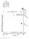 Fig. 46 - Compositions comprising bacterial strains