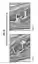 Fig. 64 - Compositions comprising bacterial strains