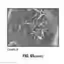 Fig. 66 - Compositions comprising bacterial strains