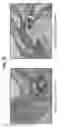 Fig. 69 - Compositions comprising bacterial strains