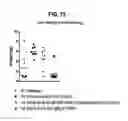Fig. 74 - Compositions comprising bacterial strains