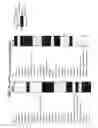 Fig. 81 - Compositions comprising bacterial strains