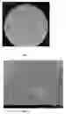 Fig. 02 - Microencapsulation of bacteriophages and related products