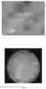 Fig. 04 - Microencapsulation of bacteriophages and related products