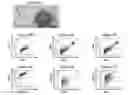 Fig. 04 - Compositions and methods for inducing thrombopoiesis