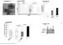 Fig. 07 - Compositions and methods for inducing thrombopoiesis