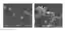 Fig. 01 - Hemostatic compositions and methods of making thereof