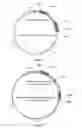 Fig. 05 - Chimeric norovirus P particle and preparation and use thereof
