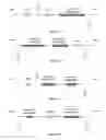 Fig. 10 - Chimeric norovirus P particle and preparation and use thereof