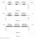 Fig. 11 - Chimeric norovirus P particle and preparation and use thereof
