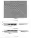 Fig. 23 - Chimeric norovirus P particle and preparation and use thereof