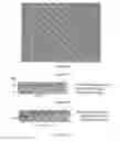 Fig. 26 - Chimeric norovirus P particle and preparation and use thereof