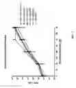 Fig. 08 - CMV vaccines