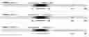 Fig. 01 - Polypeptide carrier for presenting target polypeptide and uses thereof