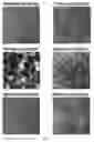 Fig. 08 - Polypeptide carrier for presenting target polypeptide and uses thereof