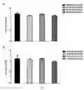 Fig. 09 - Polypeptide carrier for presenting target polypeptide and uses thereof