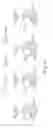 Fig. 02 - Neuronal enhancers