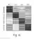 Fig. 04 - Neuronal enhancers