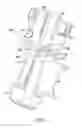 Fig. 04 - HUFF COUGH SIMULATION DEVICE