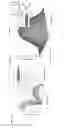 Fig. 08 - SMART CAPSULE WITH GI-TRACT-LOCATION-SPECIFIC PAYLOAD RELEASE