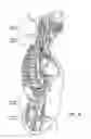Fig. 03 - System and method for treatment of pain related to limb joint replacement surgery