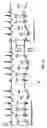 Fig. 08 - Hemodynamic performance enhancement through asymptomatic diaphragm stimulation