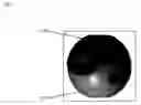 Fig. 01 - Exercise ball